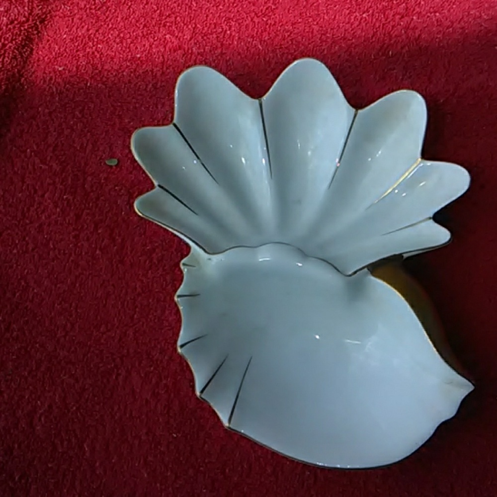 Dish